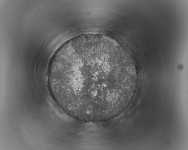 X0000112160290200908281410