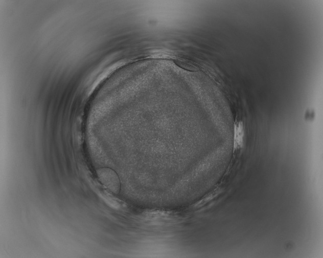 X0000112160291200908281410