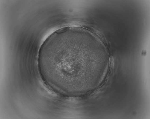 X0000112160292200908281410