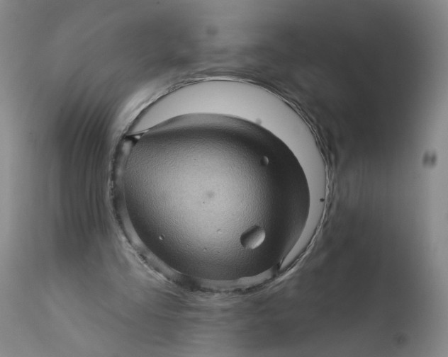 X0000112160293200908281410