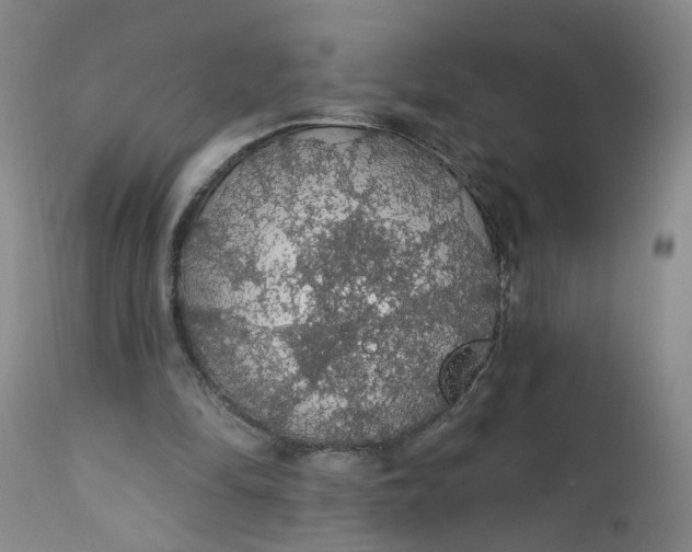 X0000112160294200908281410