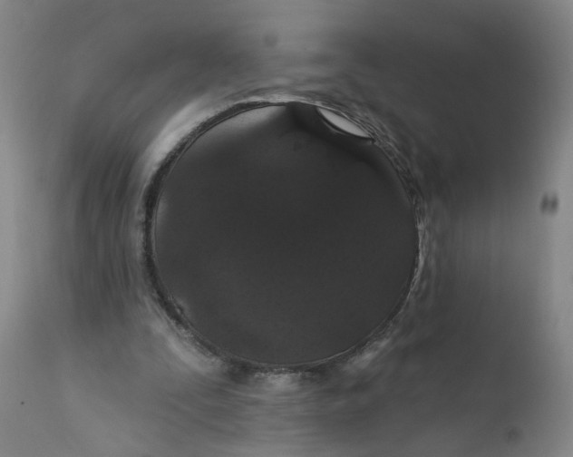 X0000112160295200908281410