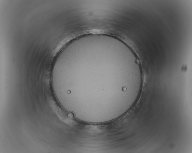 X0000112160297200908281410