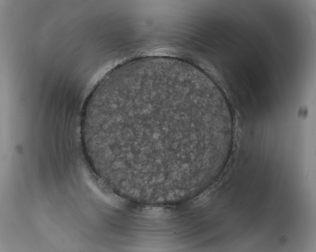 X0000112160298200908281410