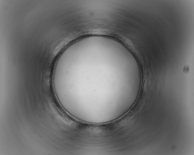 X0000112160299200908281410