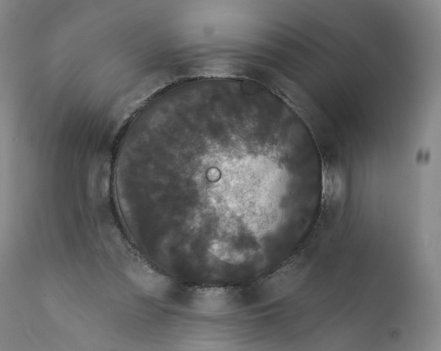 X0000112160301200908281410