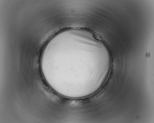 X0000112160303200908281410