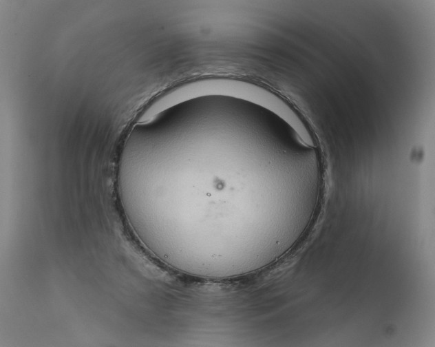 X0000112160305200908281410