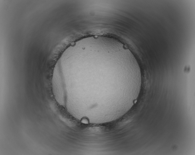 X0000112160307200908281410
