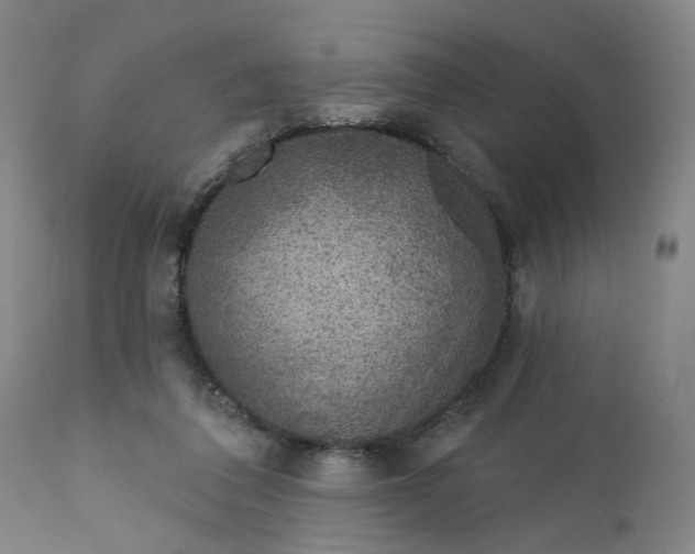 X0000112160308200908281410