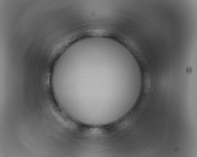 X0000112160310200908281410