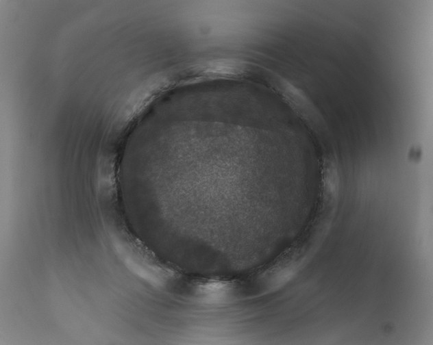 X0000112160312200908281410