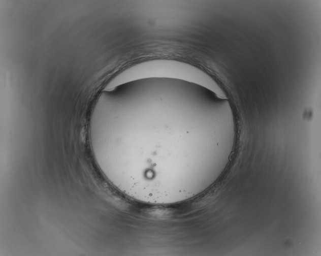 X0000112160313200908281410