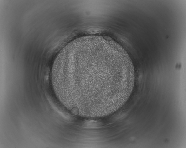 X0000112160315200908281410