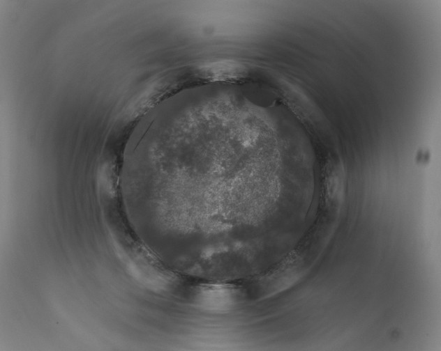 X0000112160316200908281410