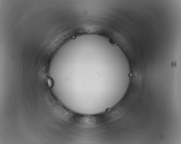 X0000112160317200908281410