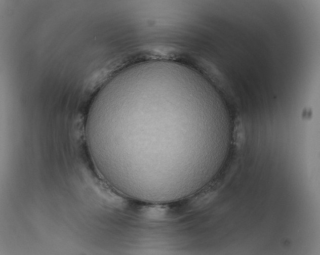 X0000112160318200908281410