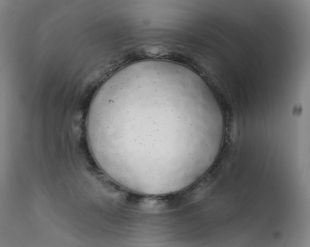 X0000112160319200908281410