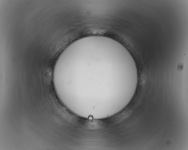 X0000112160321200908281410