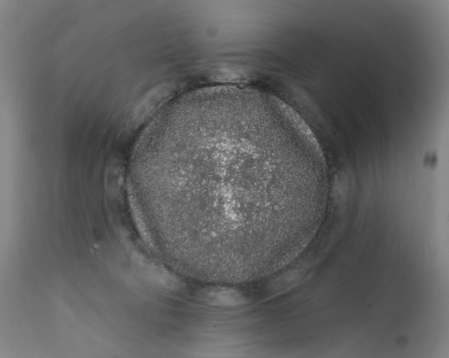 X0000112160322200908281410