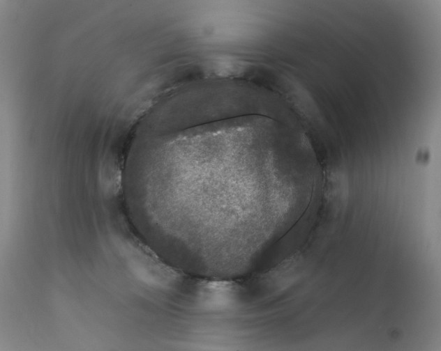 X0000112160324200908281410