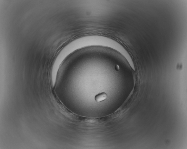 X0000112160325200908281410