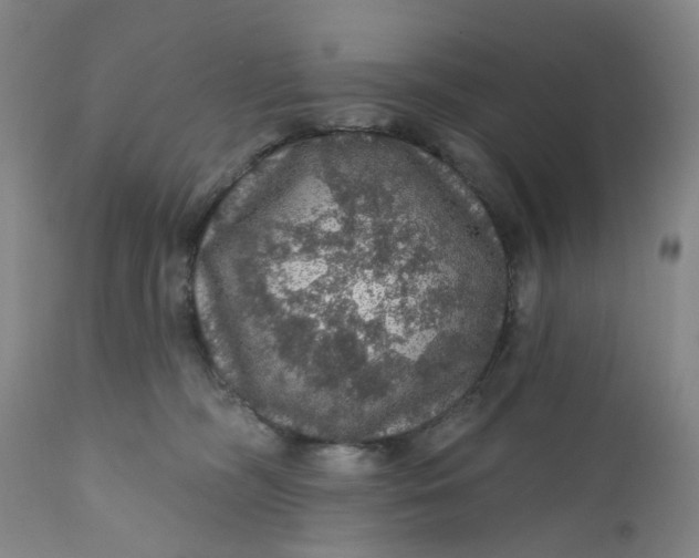 X0000112160326200908281410