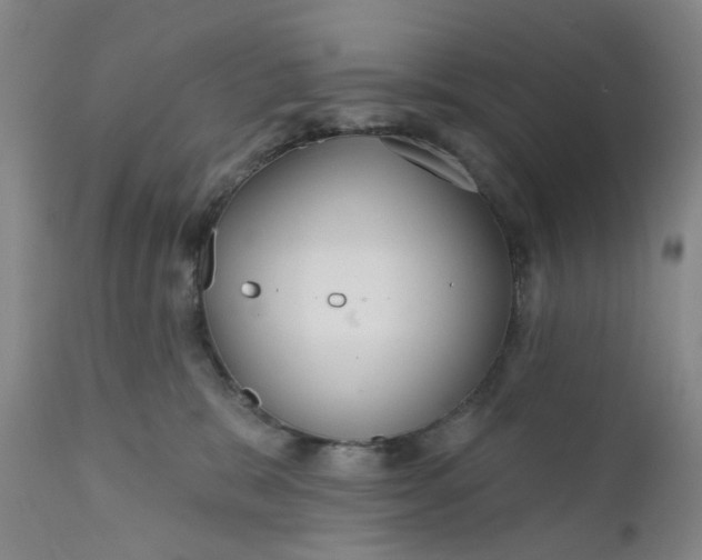 X0000112160327200908281410