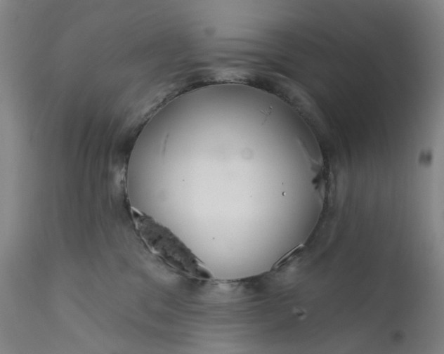 X0000112160329200908281410