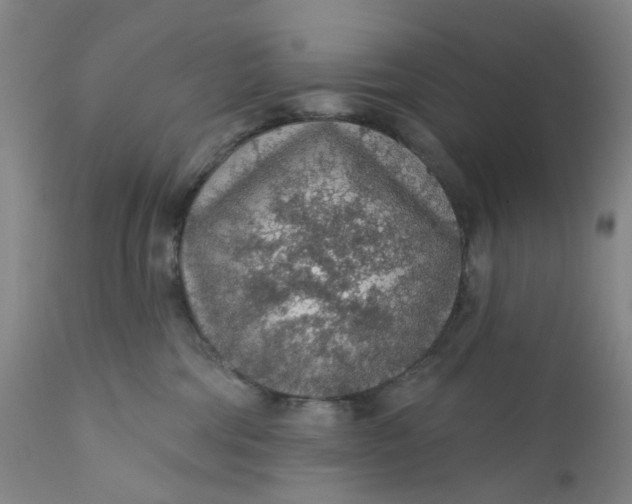 X0000112160330200908281410