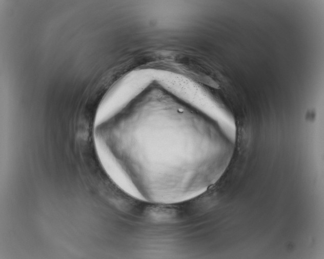 X0000112160331200908281410