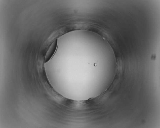 X0000112160333200908281410