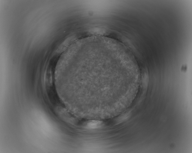 X0000112160334200908281410