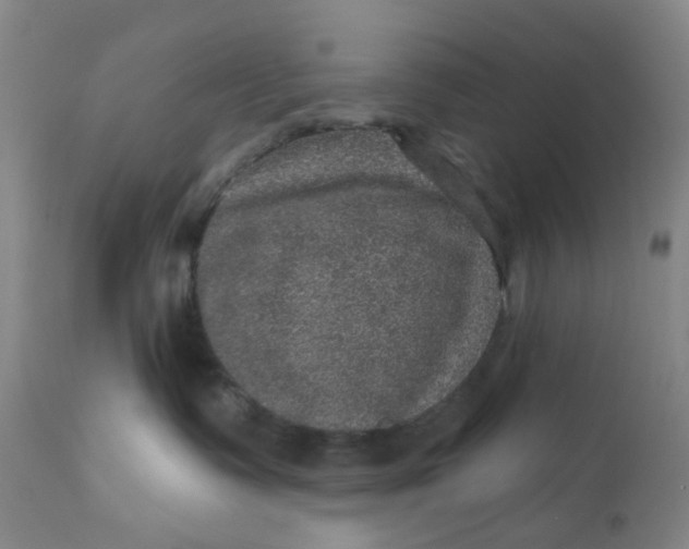 X0000112160335200908281410