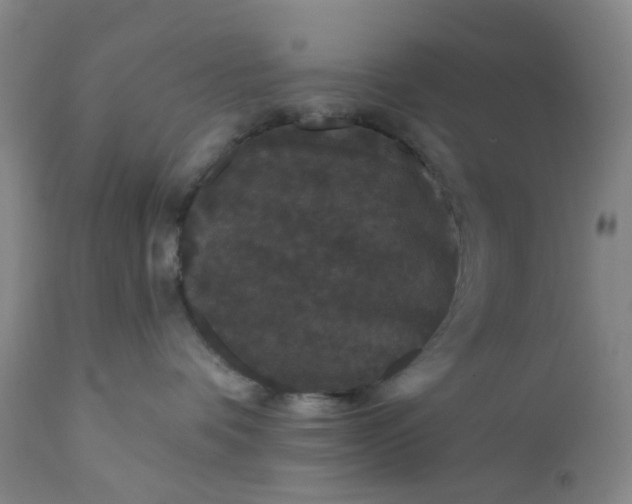 X0000112160336200908281410
