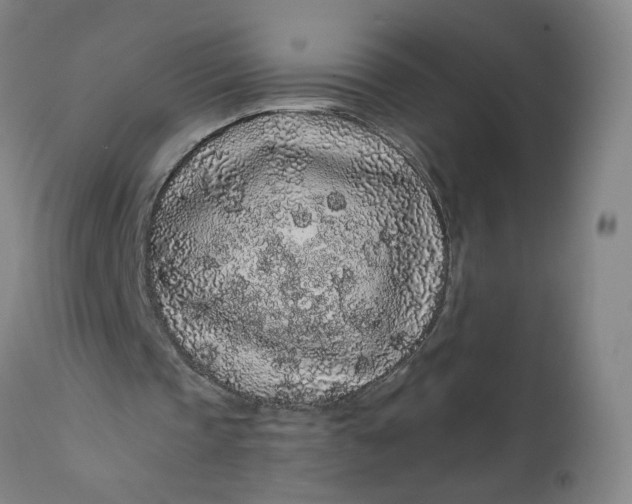 X0000112160337200908281409