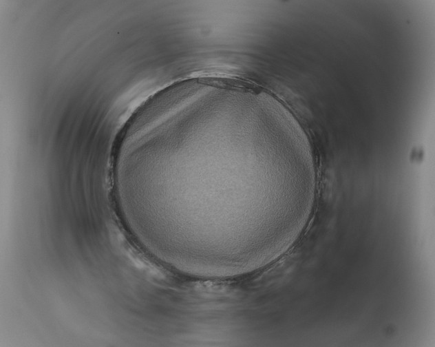 X0000112160338200908281409