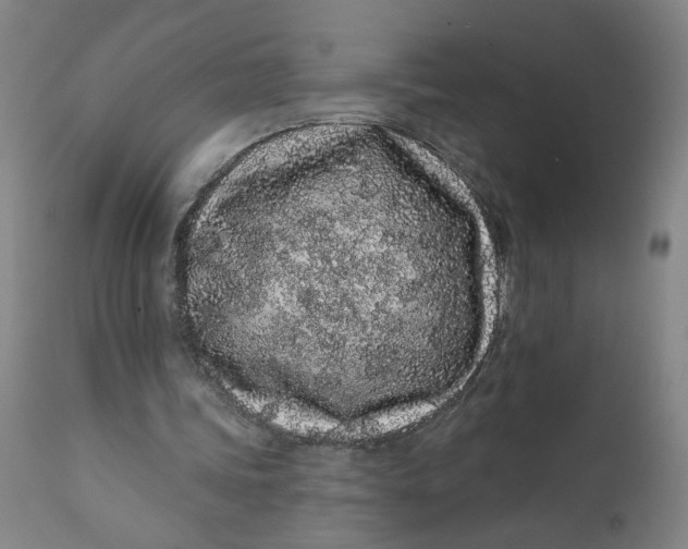 X0000112160339200908281409