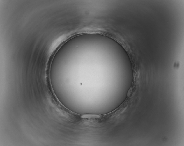 X0000112160340200908281409