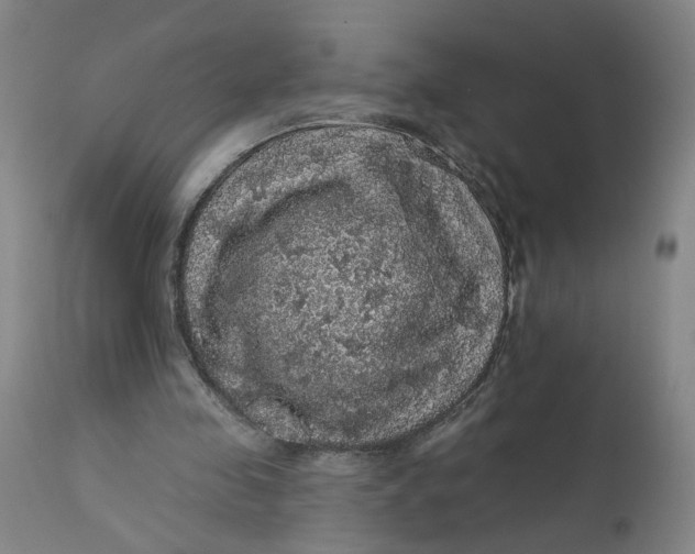 X0000112160341200908281409