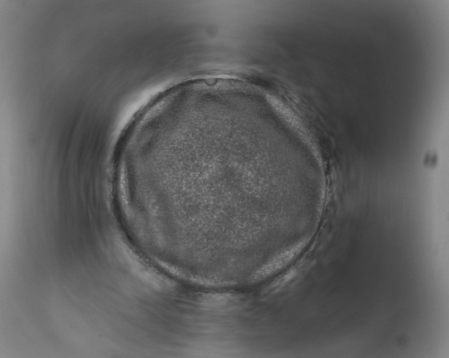 X0000112160342200908281409