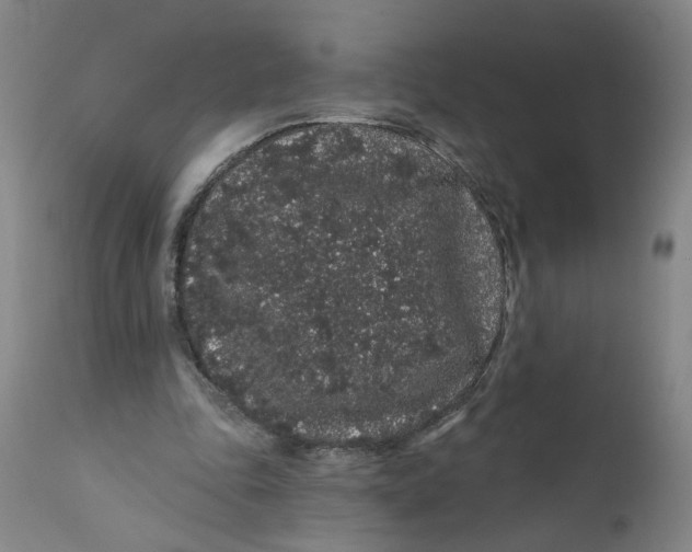 X0000112160343200908281409