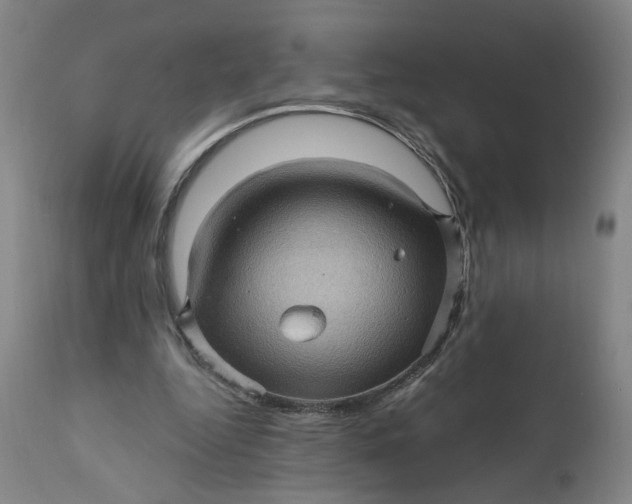 X0000112160344200908281409