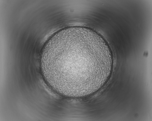 X0000112160345200908281409