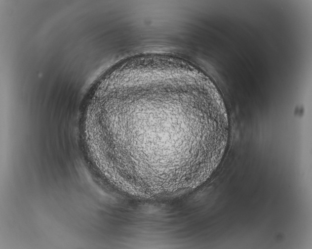 X0000112160346200908281409