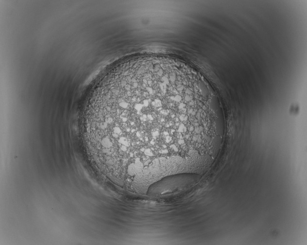 X0000112160347200908281409