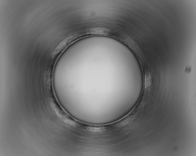 X0000112160349200908281409