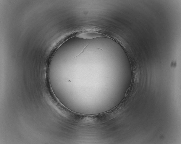 X0000112160350200908281409