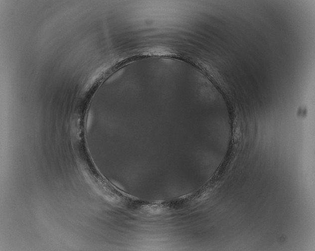 X0000112160351200908281409