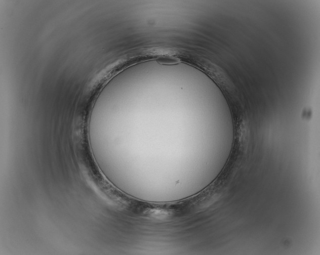 X0000112160352200908281409